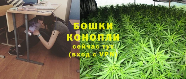 крисы Красноперекопск