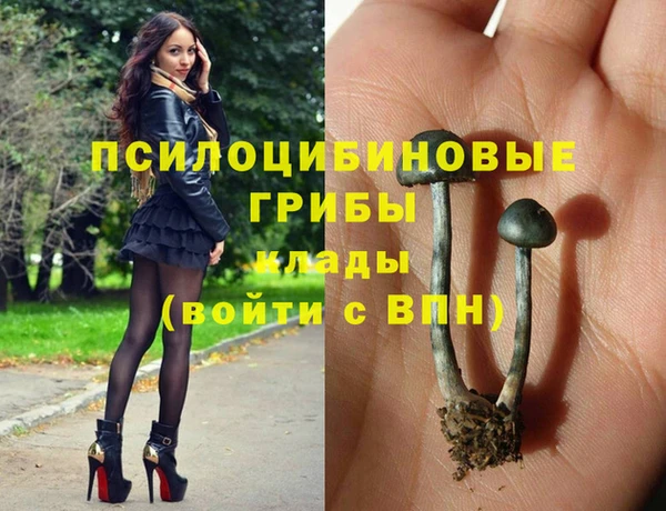 mdma Краснослободск