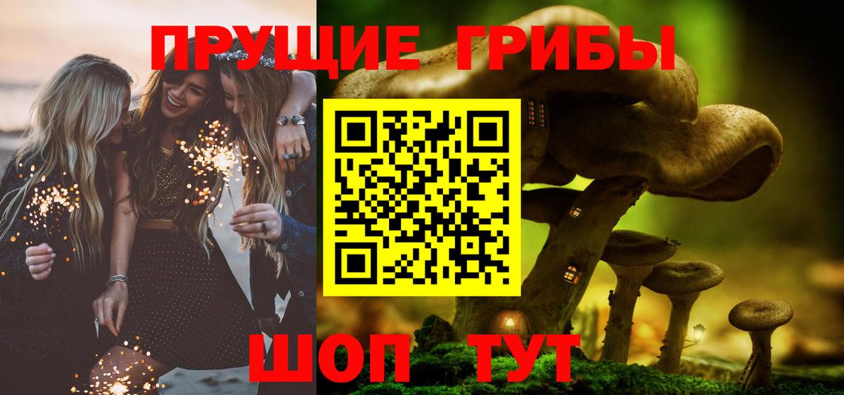 Лянтор  Псилоцибиновые грибы Psilocybine cubensis  Вход с VPN 