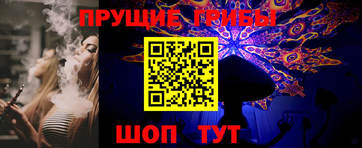 Псилоцибиновые грибы Psilocybe Лянтор